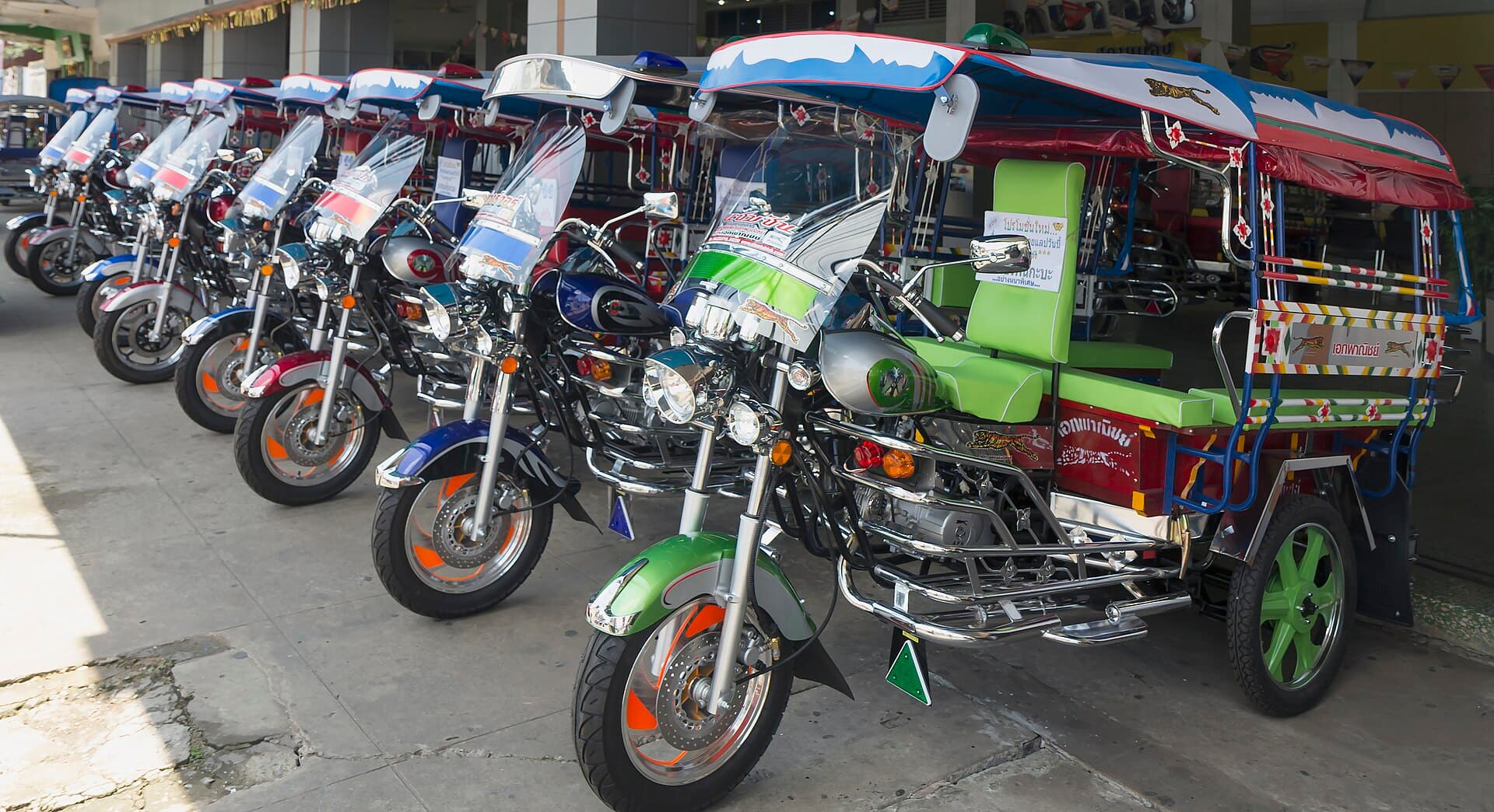 WEGO P5012